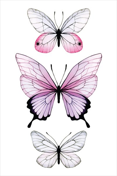 постеры Невесомые бабочки
