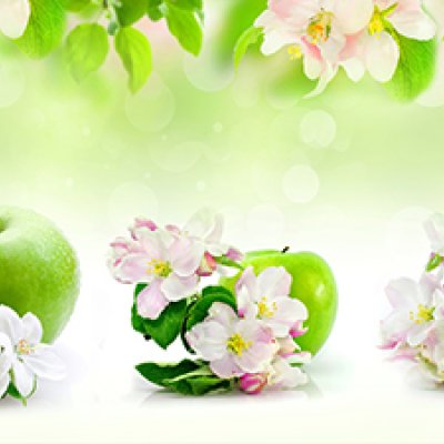 фотообои Зеленые яблоки