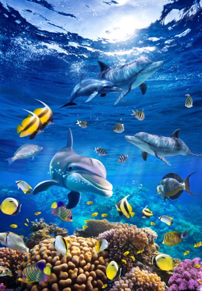фотообои Дельфины в океане