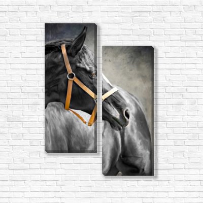 модульные картины Портрет черной лошади